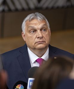 Ukraińskie media wprost. "Orban koniem trojańskim"