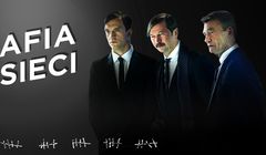 „Mafia w sieci” promuje pomoc kotom w charytatywnym serwisie Allegro (wideo)