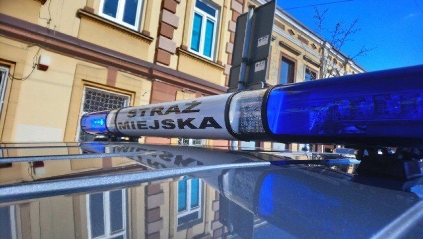 Straż Miejska w Zduńskiej Woli podsumowała półrocze 2025