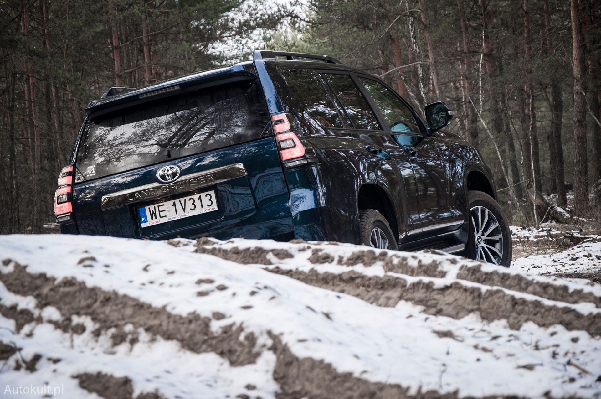 Toyota Land Cruiser (2021) (fot. Mateusz Żuchowski)