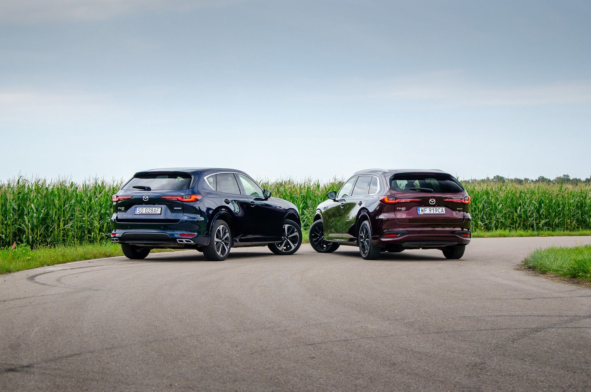 Mazda CX-60 vs. Mazda CX-80