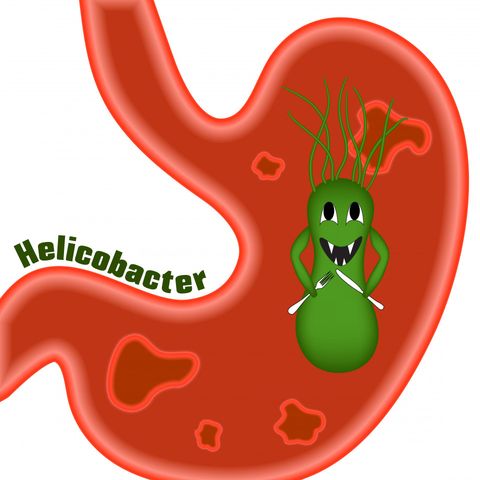 Helicobacter pylori