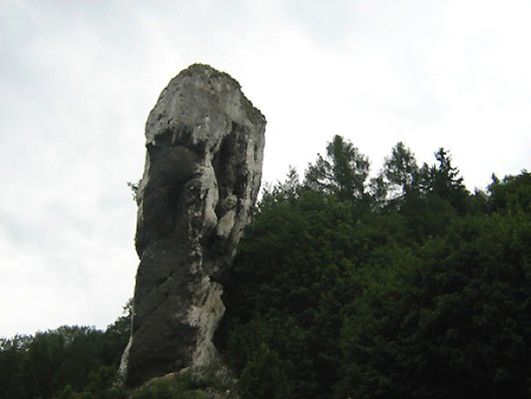 Obraz