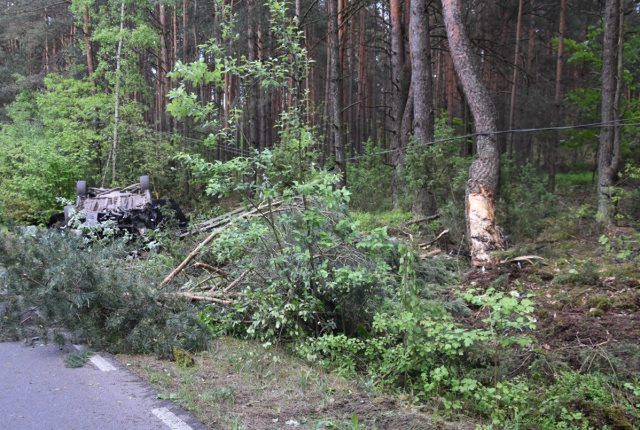 Tragiczny wypadek w Zabielu. Opel zderzył się z łosiem, zginęły dwie młode osoby (zdjęcia)