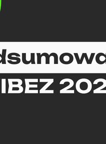 Podsumowanie VIBEZ 2025. Poznajcie highlightsy minionego roku