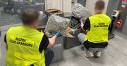 Ubrania, które pachniały przestępstwem. Ponad 50 kg narkotyków w paczkach z Kanady
