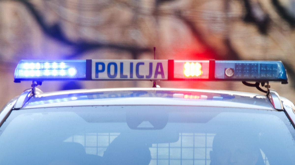 20. Krakowski Bieg Sylwestrowy
31.12.2024 Krakow 20. Krakowski Bieg Sylwestrowy
 fot. Beata Zawrzel/REPORTER
Beata Zawrzel/REPORTER