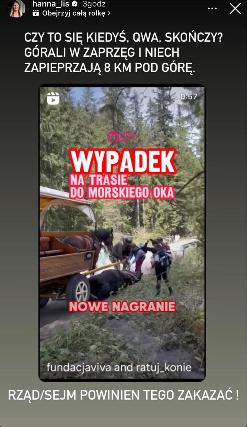 Hanna Lis broni koni na Instagramie