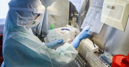 Otyli lepiej znoszą kolejną infekcję COVID-19? Są wyniki badań