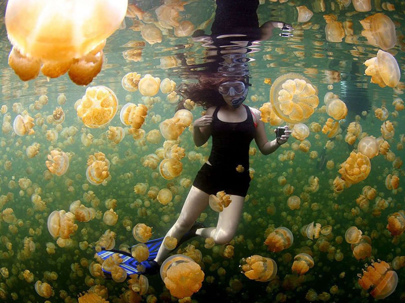 Zobacz najpopularniejsze zdjęcia National Geographic 2015 roku 19