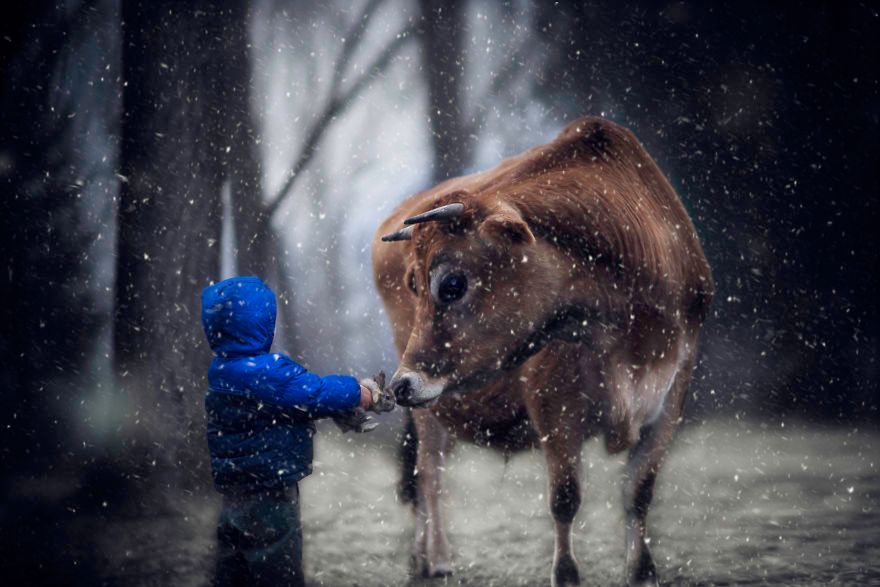 Żona kupiła mężowi aparat, by fotografował ich dzieci. Efekt przerósł jej oczekiwania 4