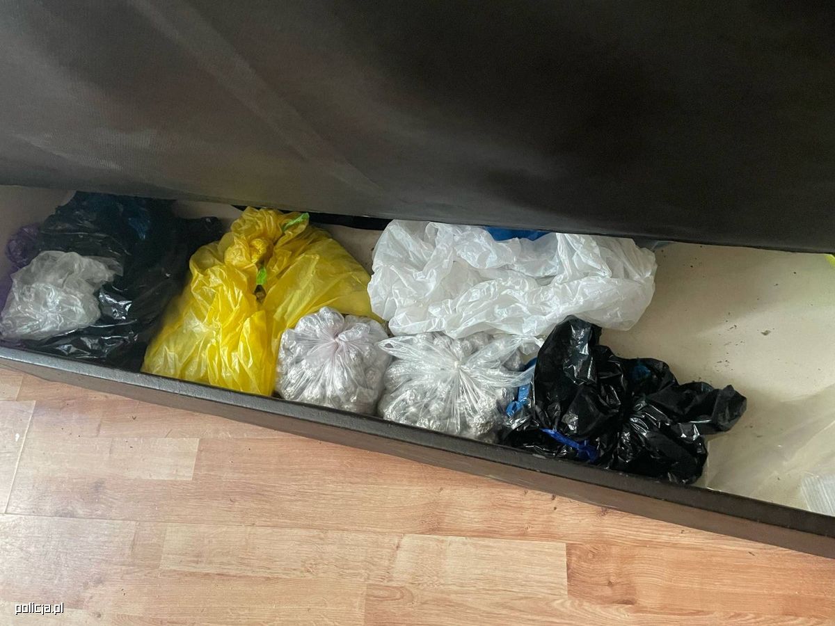 Narkotyki ukryte w tapczanie i komórce. Policja rozbiła magazyn środków odurzających w Gdańsku