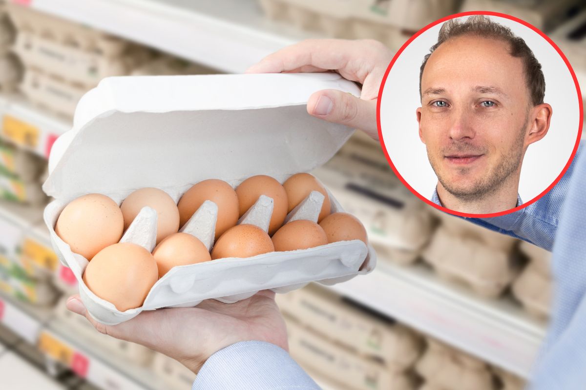 Czy jajka "zerówki" i "trójki" różnią się od siebie pod względem wartości odżywczych? Dietetyk wyjaśnił