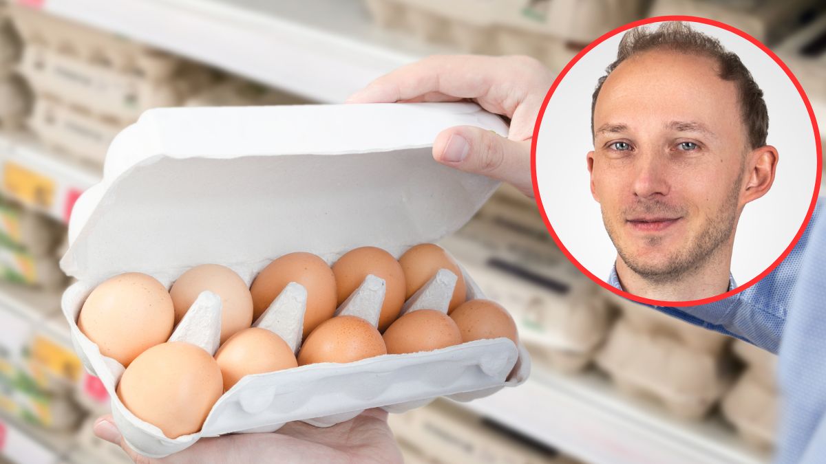 Czy jajka "zerówki" i "trójki" różnią się od siebie pod względem wartości odżywczych? Dietetyk wyjaśnił
