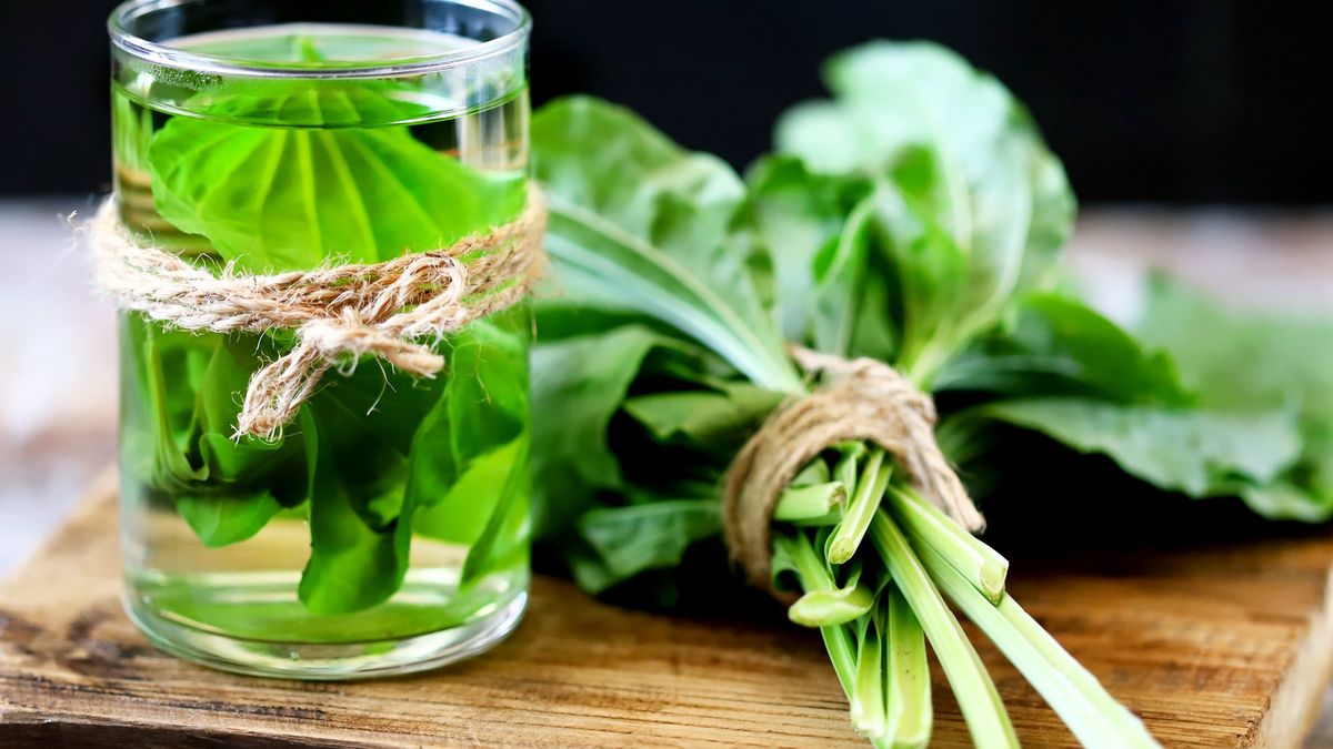 Drink with the leaves of plantain. Cough Drink. Alternative medicine.Plantain drink in a glass. Fresh leaves of plantain. Therapeutic tea of plantain.Oksana Shyriaievatherapeutic, plantago, wild herbs, plantain tea