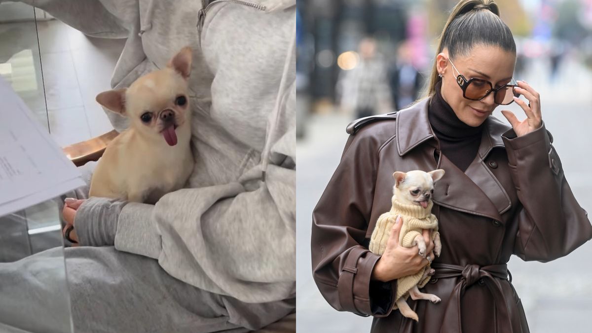 Co się stało z Franceską? Małgorzata Rozenek zabrała głos