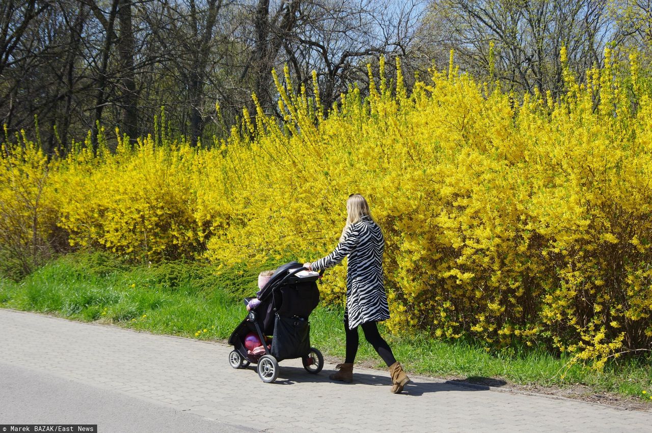 Dzieci się w tym smażą. Prosta czynność może zapobiec tragedii