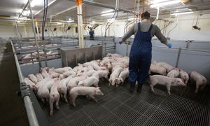 Nawet 300 tys. zł dla młodych rolników. Będzie premia