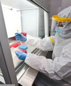 Nowy wariant koronawirusa w Europie. Potwierdzono zakażenie w Belgii