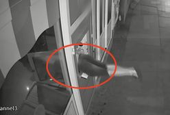 Dolnośląskie. 28 zarzutów i 110 tys. zł strat. Seryjny złodziej w rękach policji