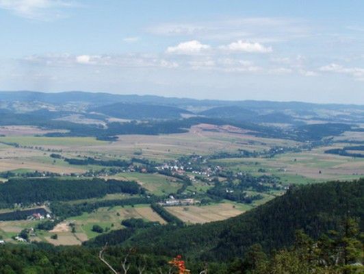 Obraz