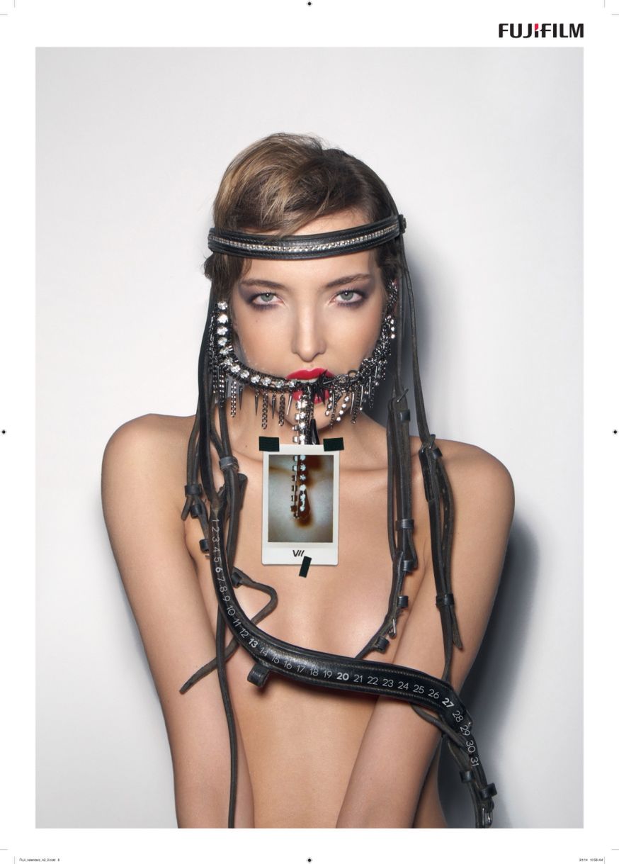 Filip Ćwik autorem kalendarza Fujifilm Instax 2014 z chińskimi motywami zwierząt 8