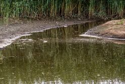 Nowe badanie. W osadach ujścia Odry obecny jest szkodliwy związek chemiczny