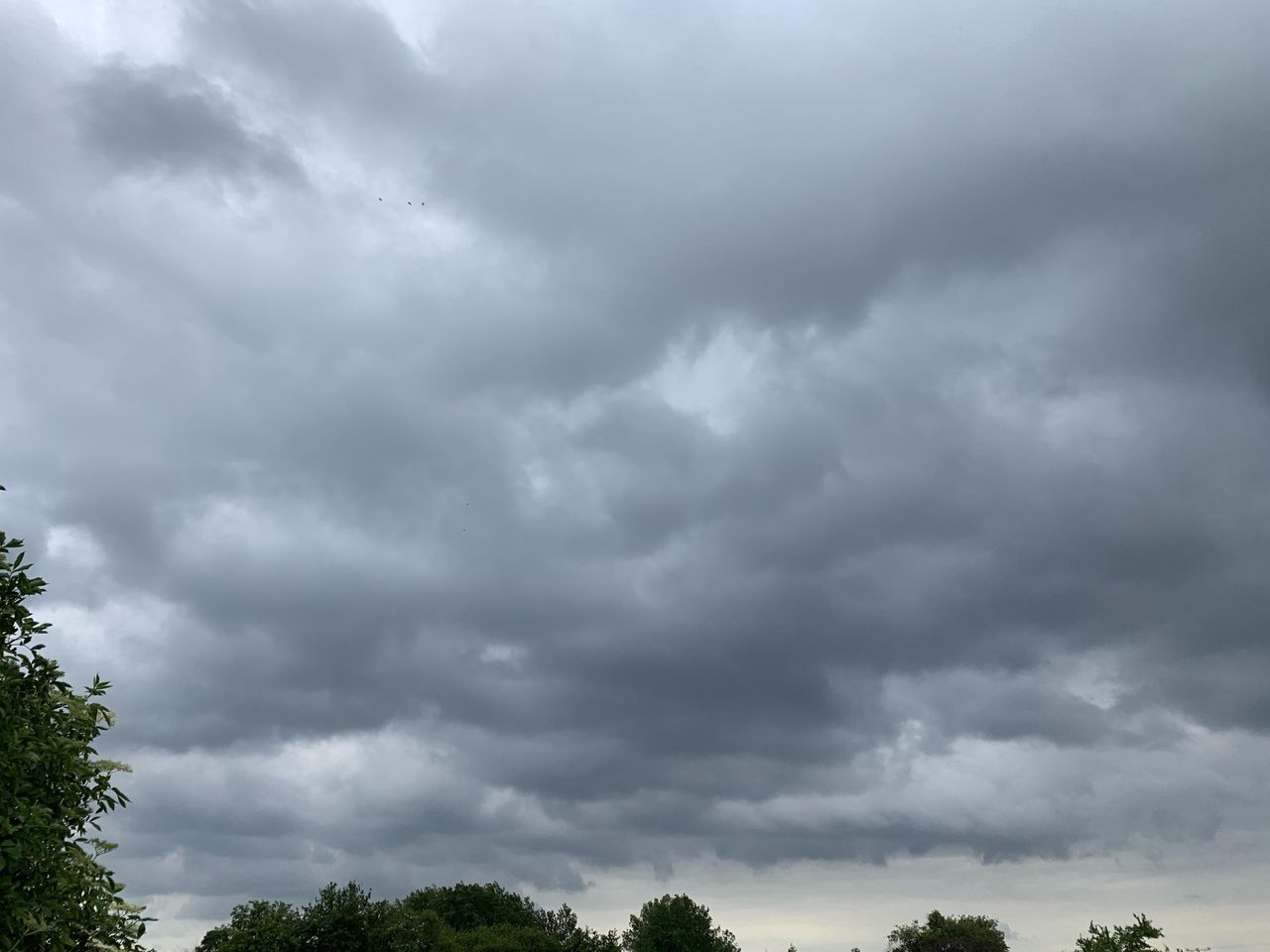 Wrocław. Pogoda. 19 sierpnia - środa z deszczem i ochłodzeniem