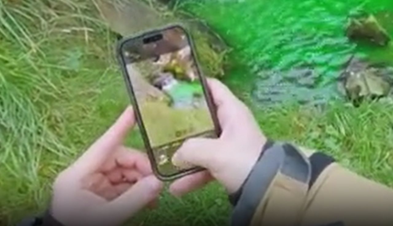 Strażak aż złapał za telefon. Taki widok w parku. "Jak w Chorwacji"