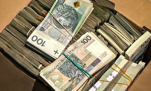 Otrzymywała fałszywe wykresy. 54-latka straciła 500 tys. zł