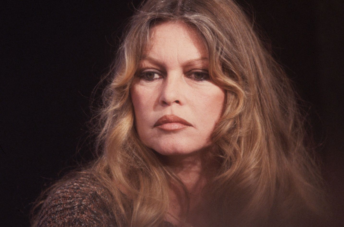  Brigitte Bardot 