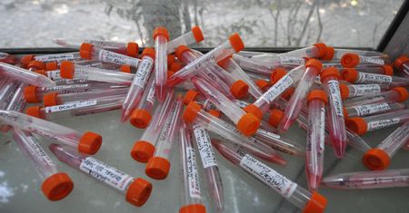 Koronawirus. Niemal bezużyteczne testy w polskich szpitalach