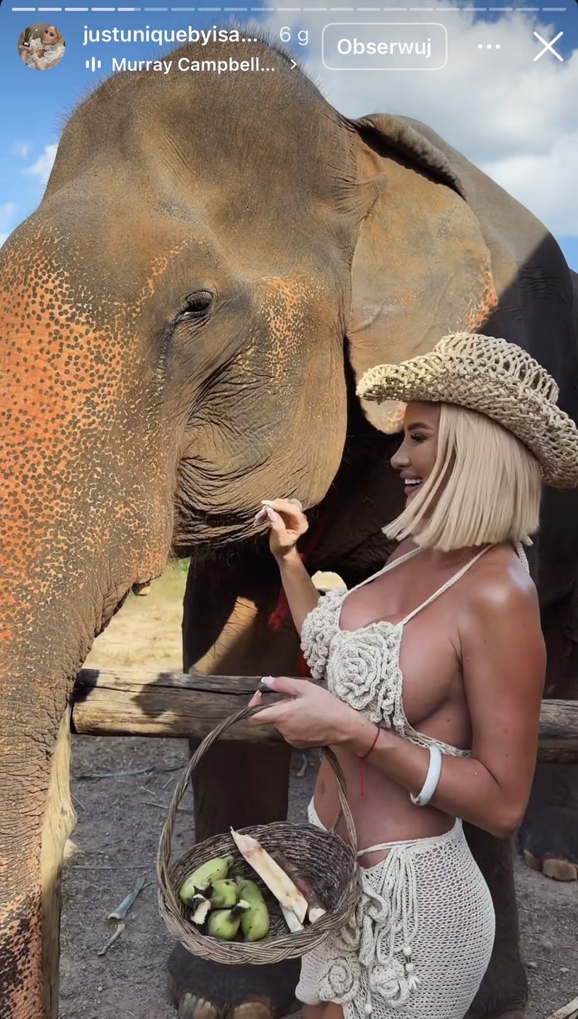 Izabela Macudzińska dokarmia słonie 