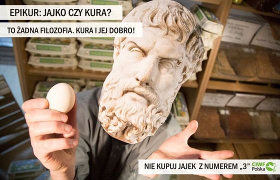Arystoteles, Sokrates i Pitagoras w kampanii „Jajko czy kura?”
