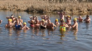 Podlasie: Wiosna za pasem, a Morsy wciąż wchodzą do wody