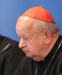 Mapa kościelnej pedofilii. Zawiadomienia do Państwowej Komisji ws. biskupów