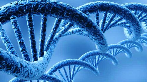 Chcesz obejrzeć swoje DNA - we własnej kuchni? 1