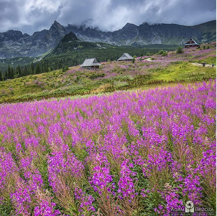 Zdjęcia krajobrazowe, które zachwycają klimatem i emocjami. Polskie Tatry w obiektywie Adama Brzozy 2