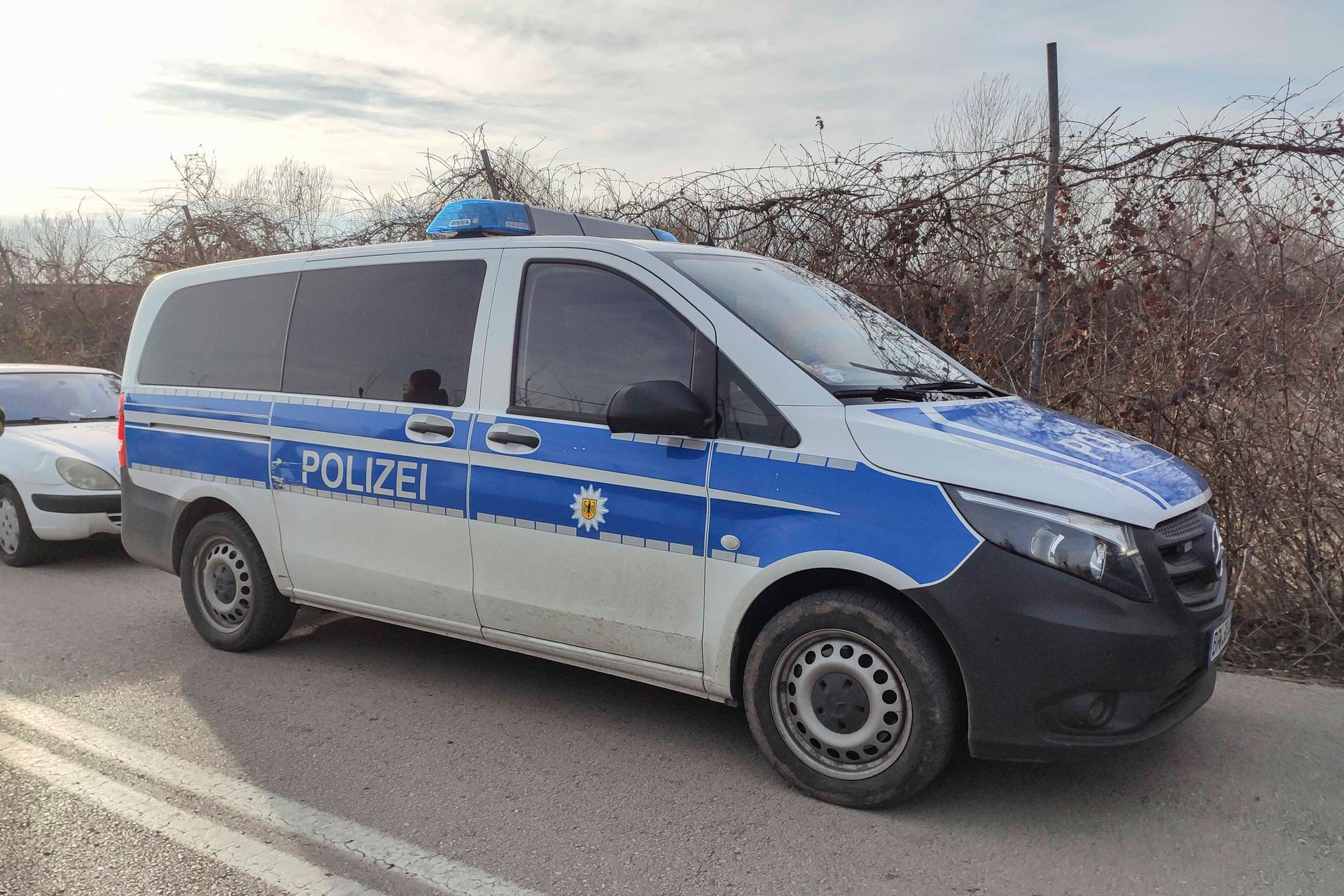 Tragedia podczas wielkanocnej zabawy. Drzewo zabiło trzy osoby