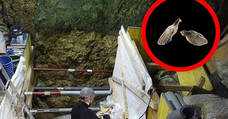 Niebywałe odkrycie w Niemczech. Mają rozmiar ludzkiego paznokcia