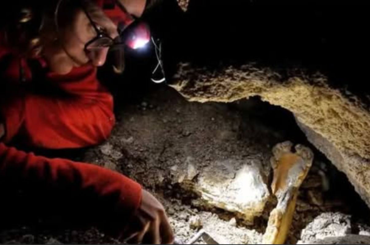 Pojawili się tam 15 tys. lat temu. Paleolityczni łowcy w Tatrach