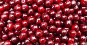 7 pyszności z wiśni. Frużelinę pokochają wszyscy