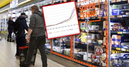 Polska to jeden wielki dyskont. Zakupy są tańsze niż w sąsiednich krajach [ANALIZA]