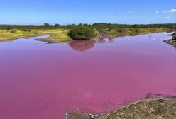 Woda zrobiła się różowa. Anomalia wystąpiła pierwszy raz w historii