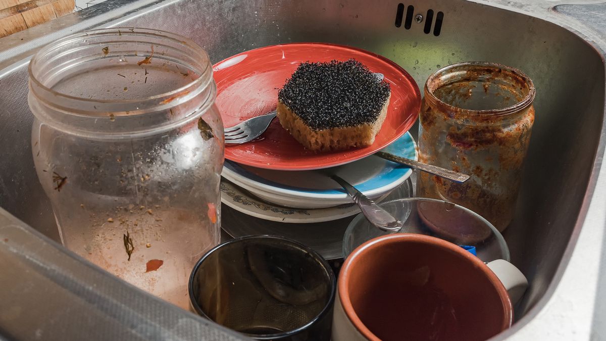 A sink with dirty dishes
A sink with dirty dishes. Dirty plates, mugs, and jars lie in the silver metal sink. Close-up
Vladimir Volovodov