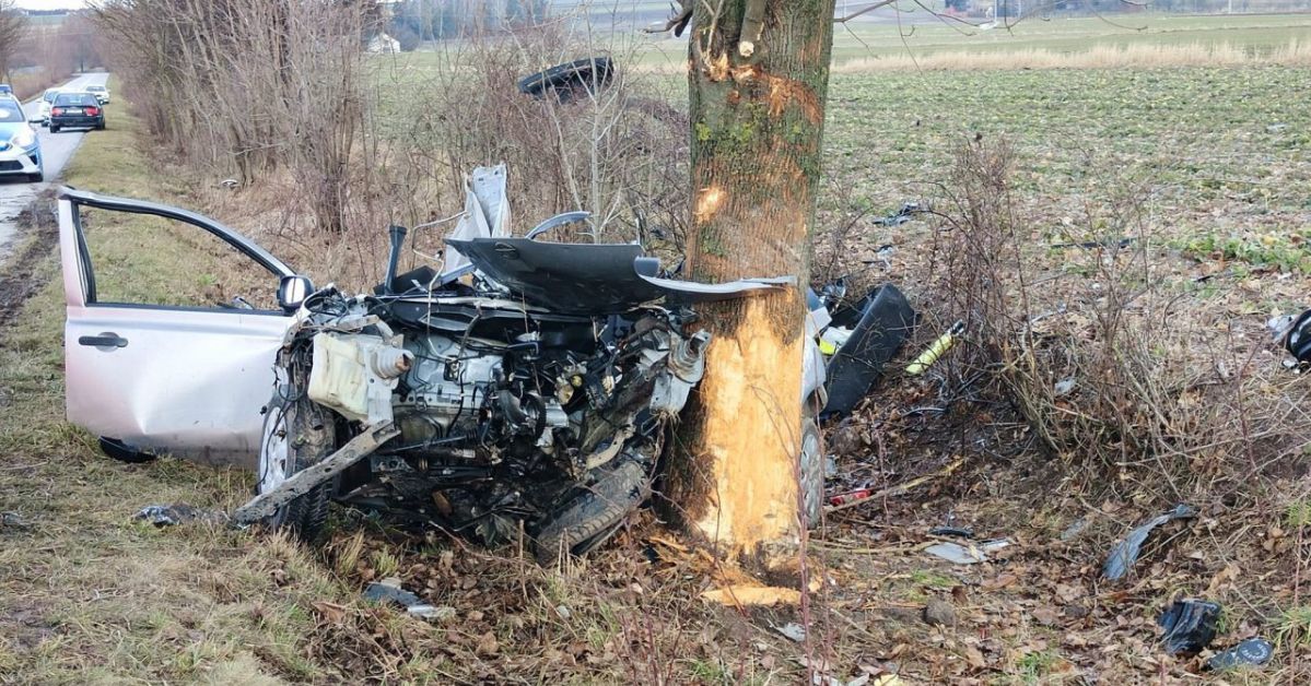 Nissan uderzył w drzewo. 19-latek zginął na miejscu. Miał prawo jazdy od dwóch miesięcy