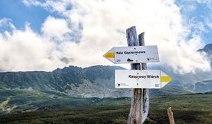 Kolory szlaków w górach. Większość turystów robi ten błąd