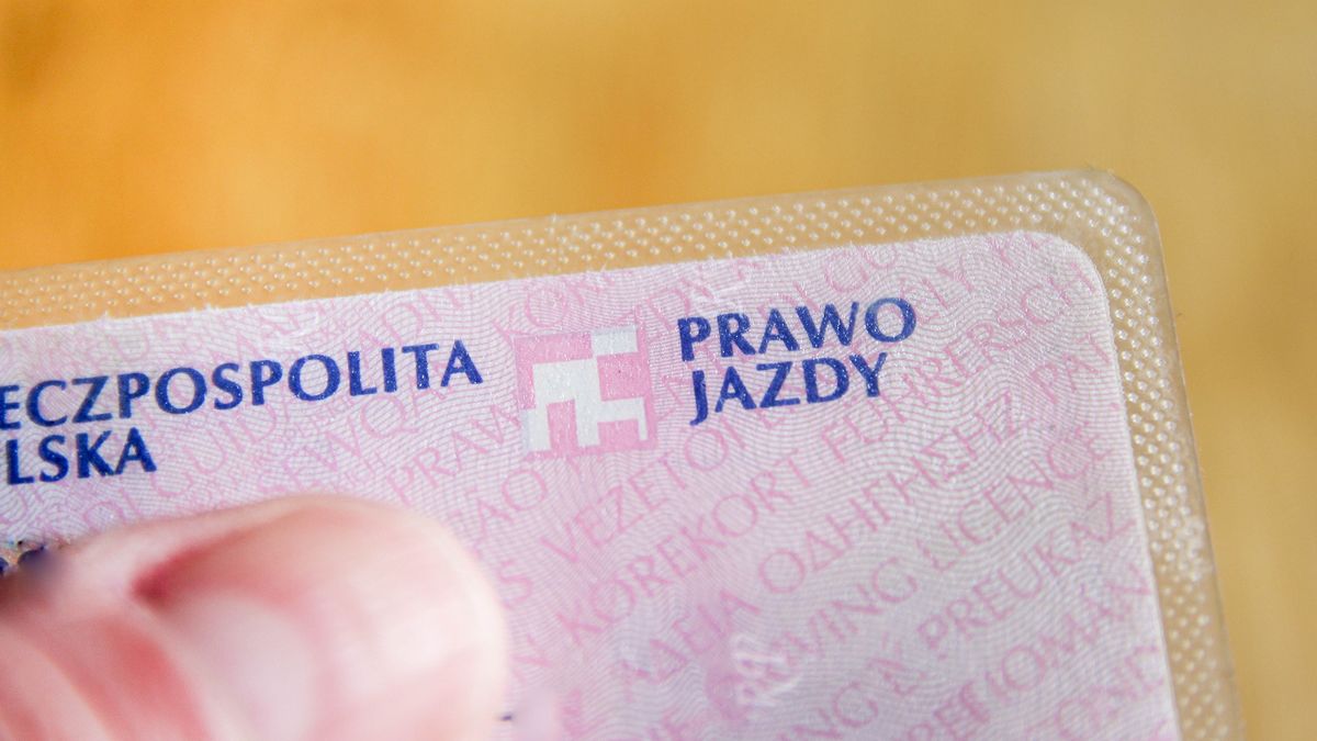 Uprawnienia do prawa jazdy