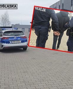 Stalker aresztowany na dwa miesiące. Grozi mu 12 lat