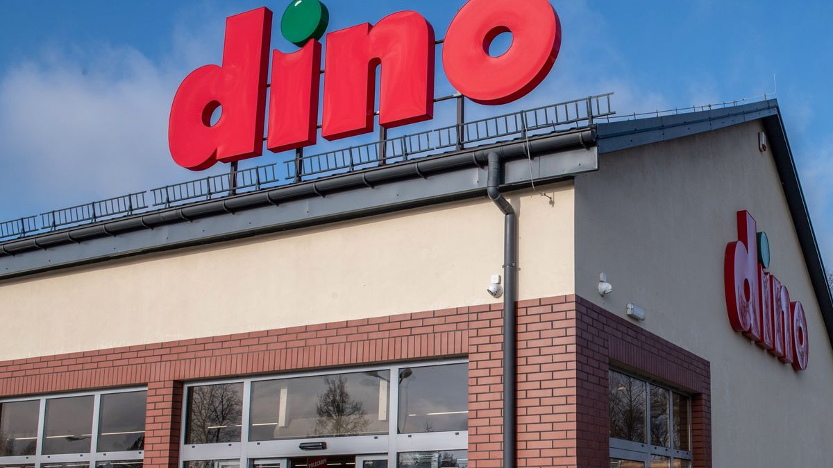 Promocje w Dino